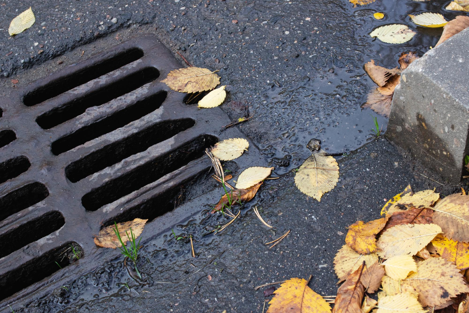 Signs and Solutions for a Failing Drain Field