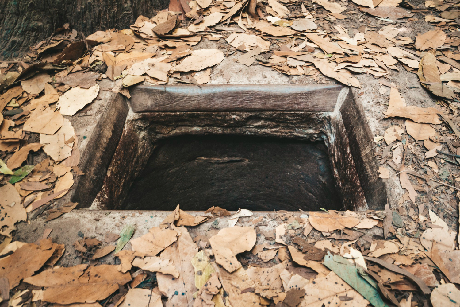 The Real Cost of Skipping Regular Septic Pumping