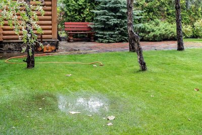 Landscaping Dos and Don’ts with a Septic System