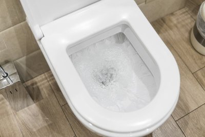 What Should You Not Flush Down the Toilet?